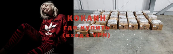 прущие грибы Абинск