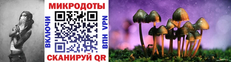 Псилоцибиновые грибы MAGIC MUSHROOMS Алагир